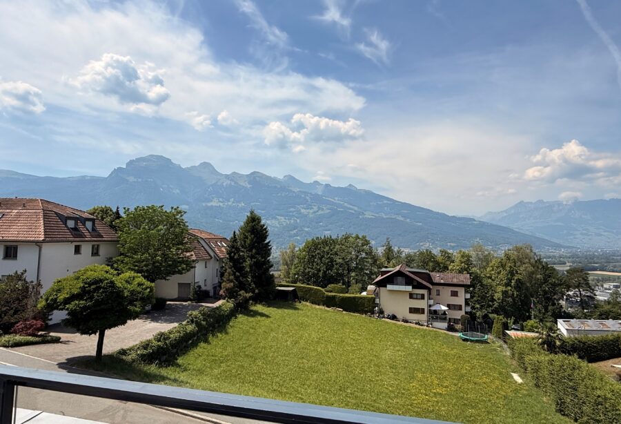 Stilvolle Wohnung mit einzigartiger Skylounge