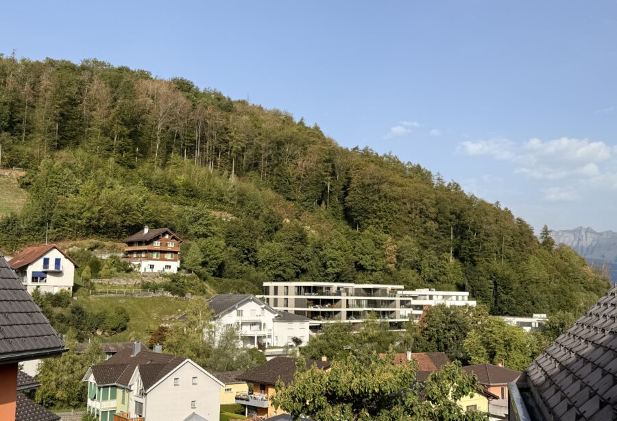 Zentrumsnahe Attikawohnung